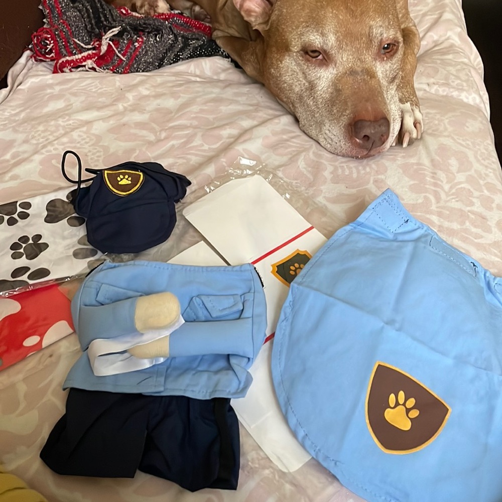 Shein small dog Halloween costume and bandanas